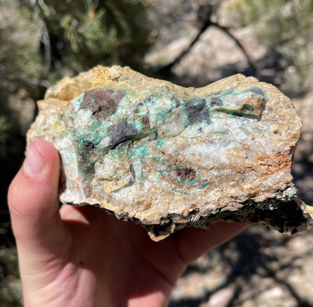 Sample rock with gold vein running through it