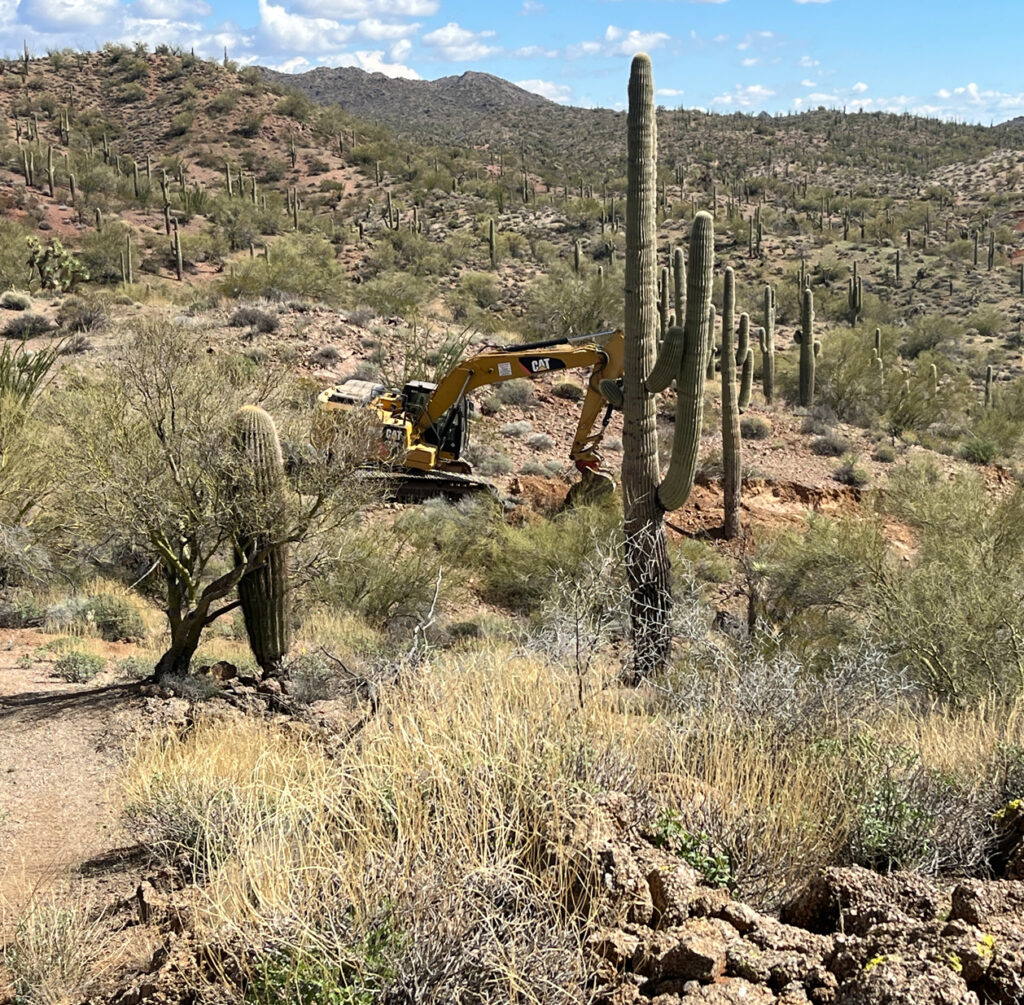 Arizona Gold Prospecting and Cactus