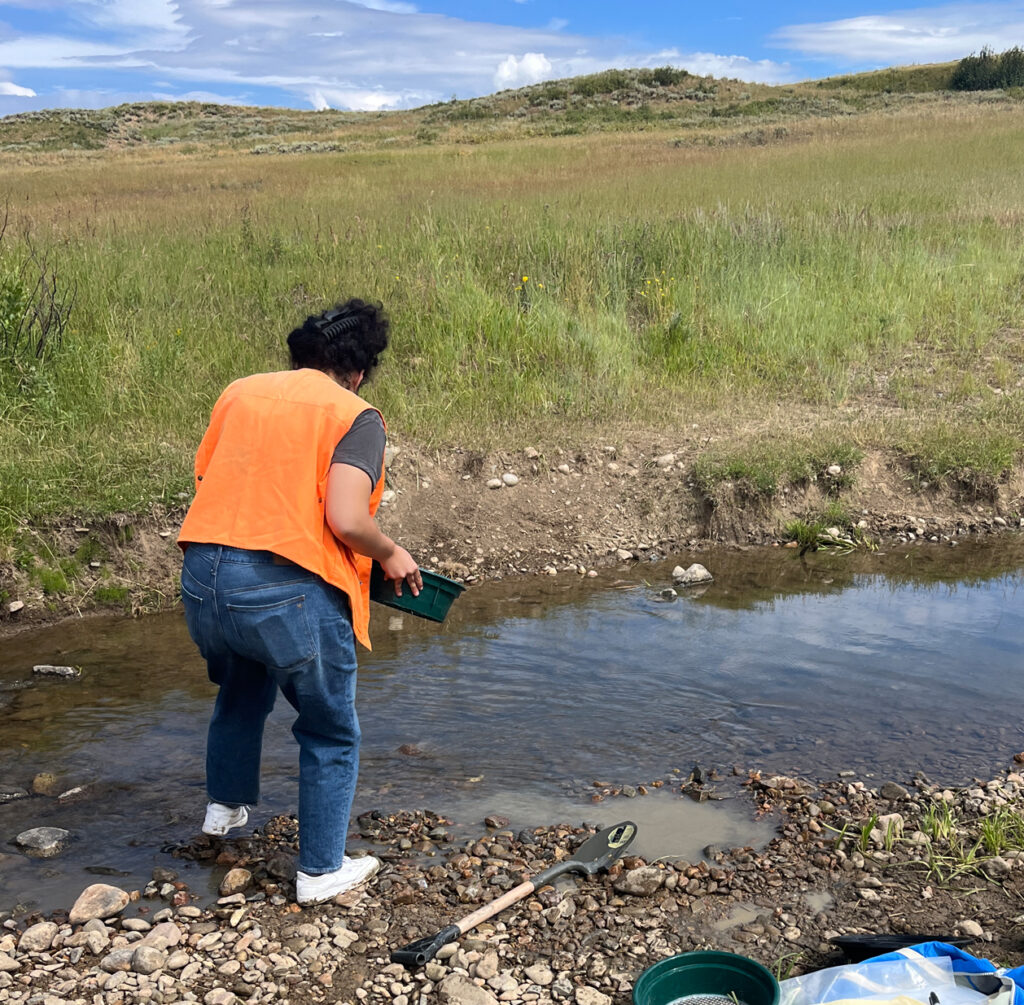 Stream Sediment Sampling