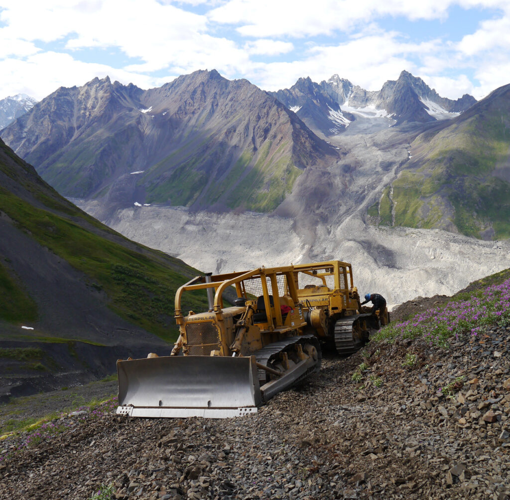 Alaska Mountain Cats